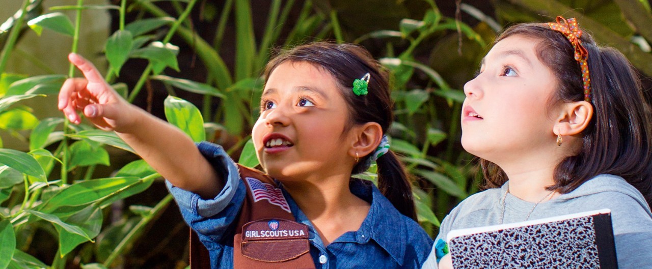 ¡Más insignias, aventuras en STEM y actividades al aire libre!