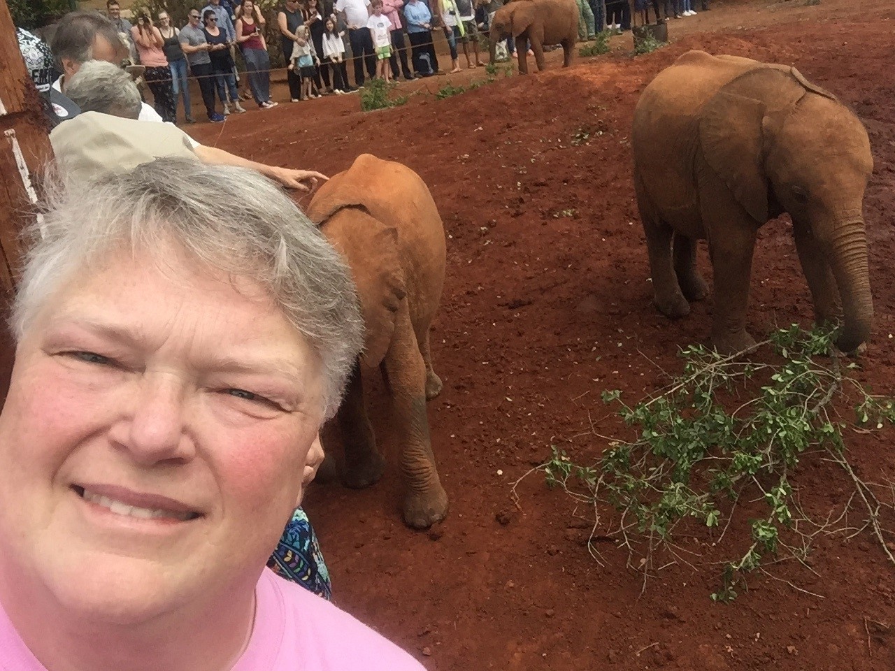 CH-V-A- Lori W - Baby Elephant Rescue in Nairobi Kenya