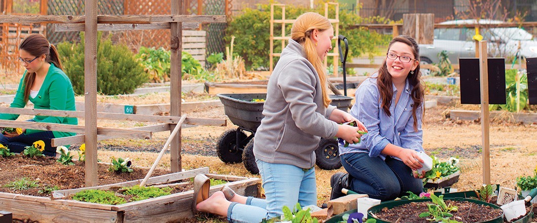 Girl Scout Seniors join together to make the world a better place